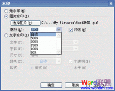 Word2003ֺͼƬˮ